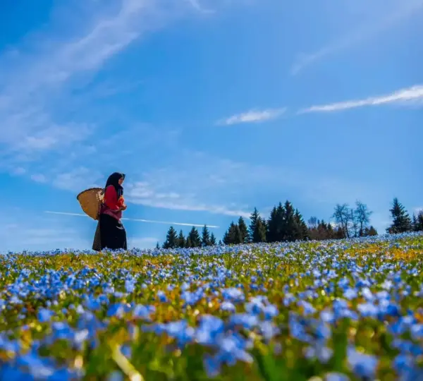 Kadıralak Tabiat Parkı
