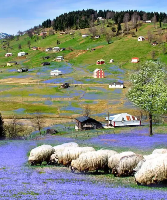 Trabzon'da Gezilecek Yerler: Kadıralak Tabiat Parkı