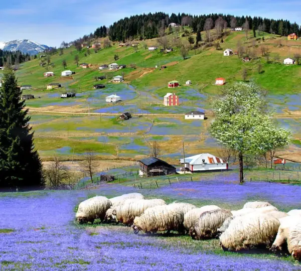 Kadıralak Tabiat Parkı