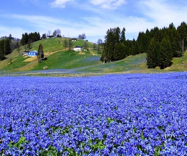 Kadıralak Tabiat Parkı