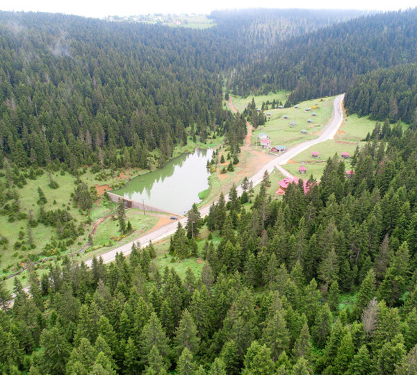 Kayabaşı Tabiat Parkı