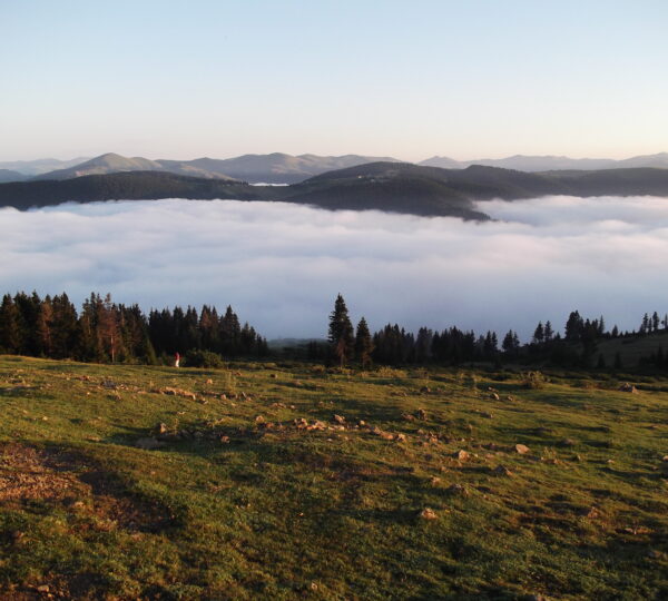 Kayabaşı Tabiat Parkı