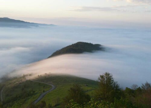 Trabzon'da Gezilecek Yerler: Kayabaşı Tabiat Parkı