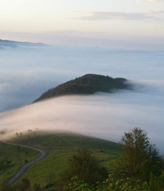Trabzon'da Gezilecek Yerler: Kayabaşı Tabiat Parkı