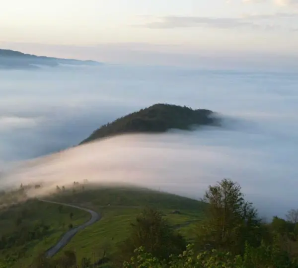 Trabzon'da Gezilecek Yerler: Kayabaşı Tabiat Parkı