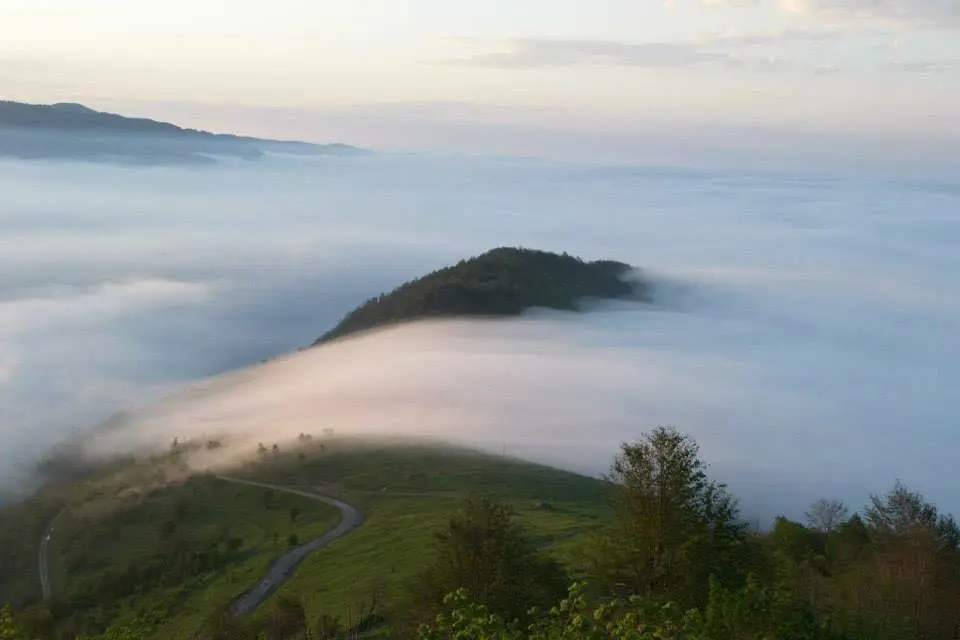 Trabzon'da Gezilecek Yerler: Kayabaşı Tabiat Parkı