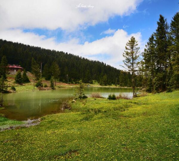 Kayabaşı Tabiat Parkı