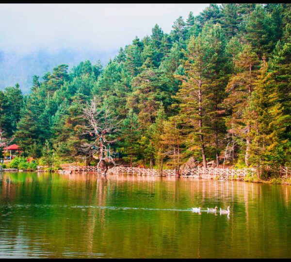 Limni Gölü Tabiat Parkı​