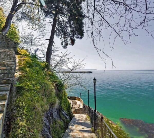 Çamburnu Tabiat Parkı