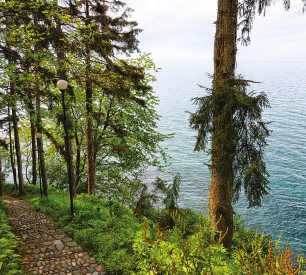 Çamburnu Tabiat Parkı