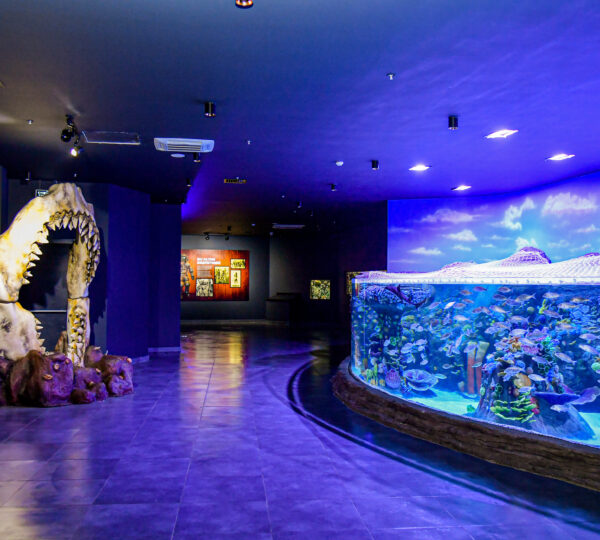Trabzon Tünel Akvaryum