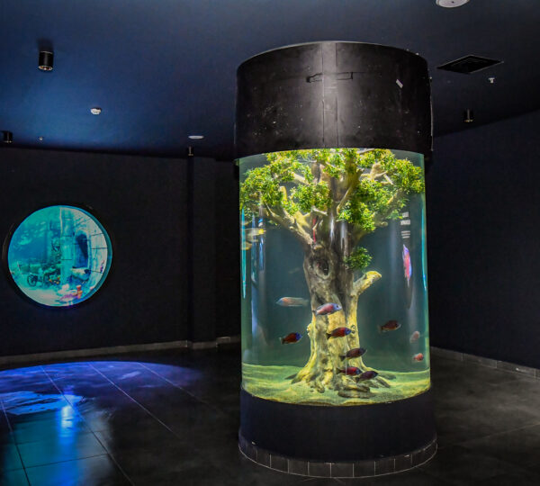 Trabzon Tünel Akvaryum