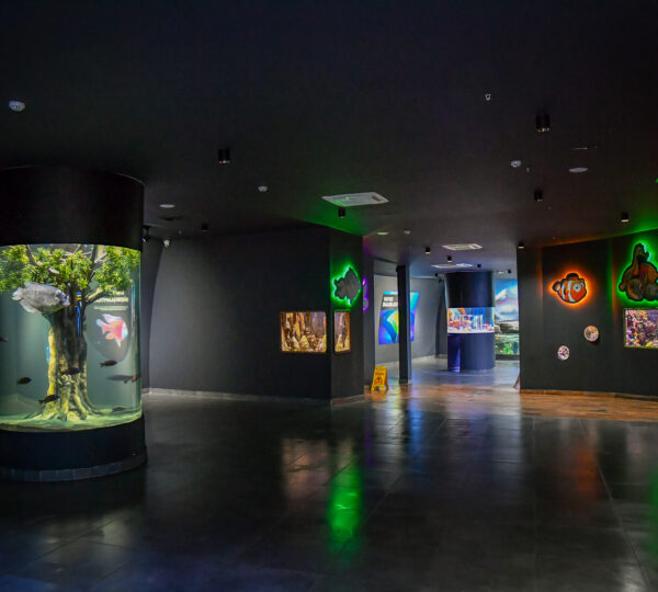 Trabzon Tünel Akvaryum