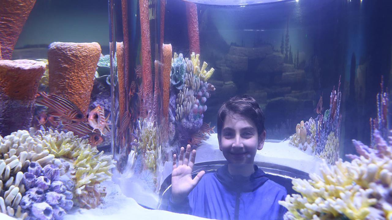 Trabzon'da gezilecek yerler