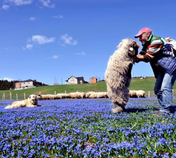 Kadıralak Tabiat Parkı