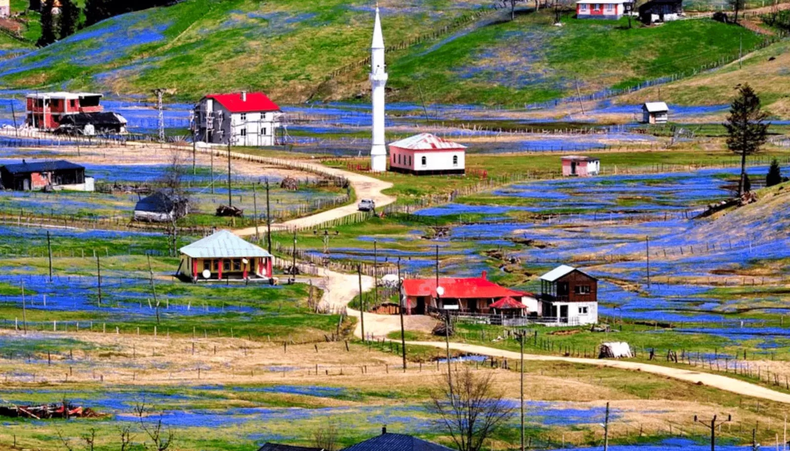 Trabzon'da gezilecek yerler Trabzon'da gezilecek yerler