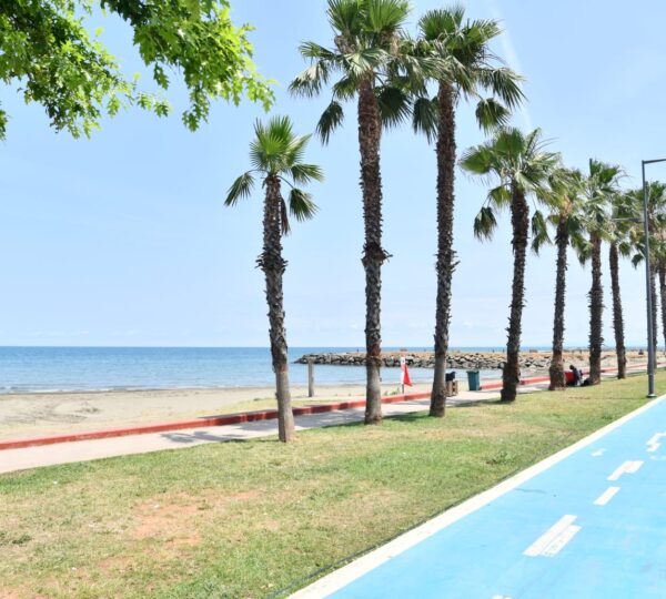 Yalıncak Belediyesi Aile Plajı​